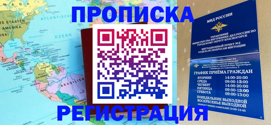прописка для работы в Мытищах